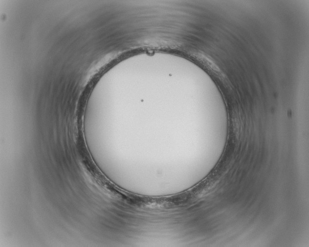 X0000061720488200512302124