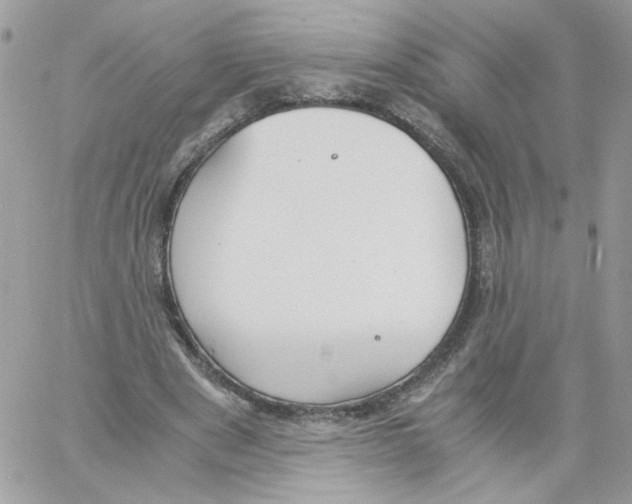 X0000061720489200512302123