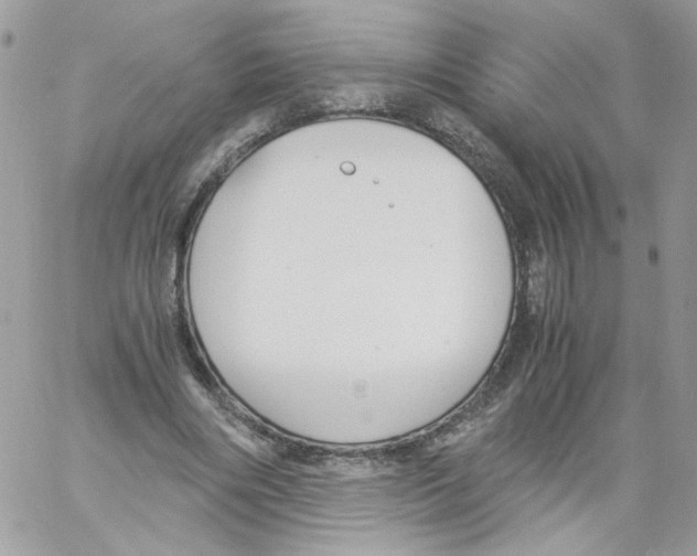 X0000061720490200512302123