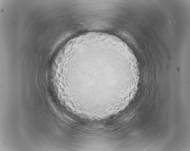 X0000061720491200512302123