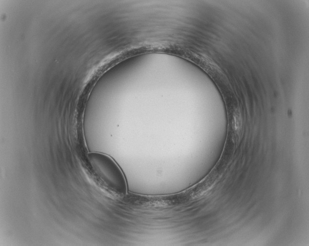 X0000061720492200512302123