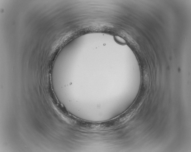 X0000061720493200512302123