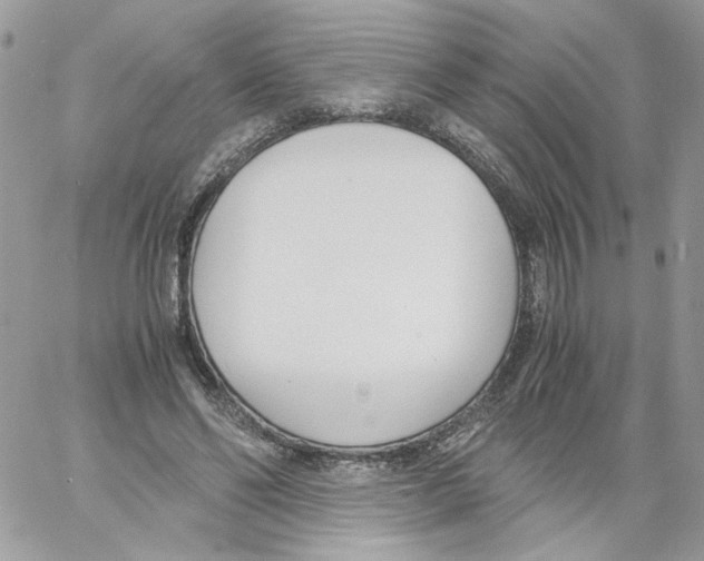 X0000061720494200512302123