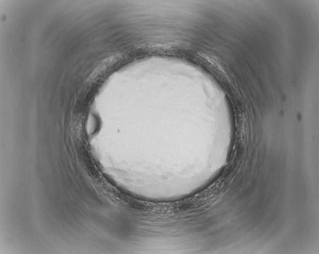 X0000061720495200512302123