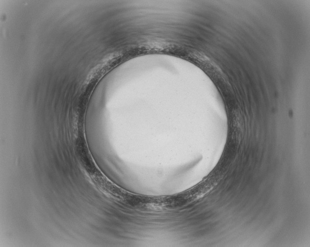 X0000061720496200512302123