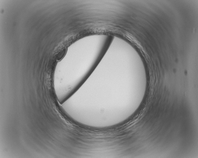 X0000061720497200512302123