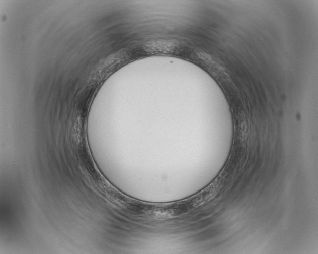 X0000061720498200512302123