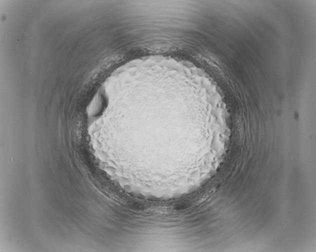 X0000061720499200512302123