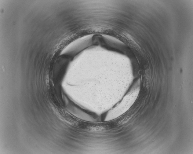 X0000061720500200512302123