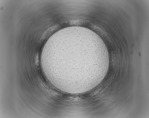 X0000061720502200512302123