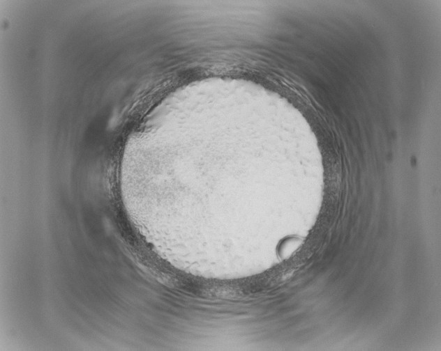 X0000061720503200512302123