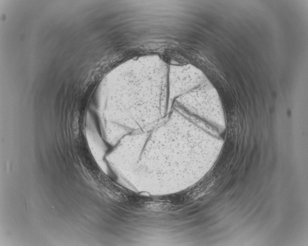 X0000061720504200512302123