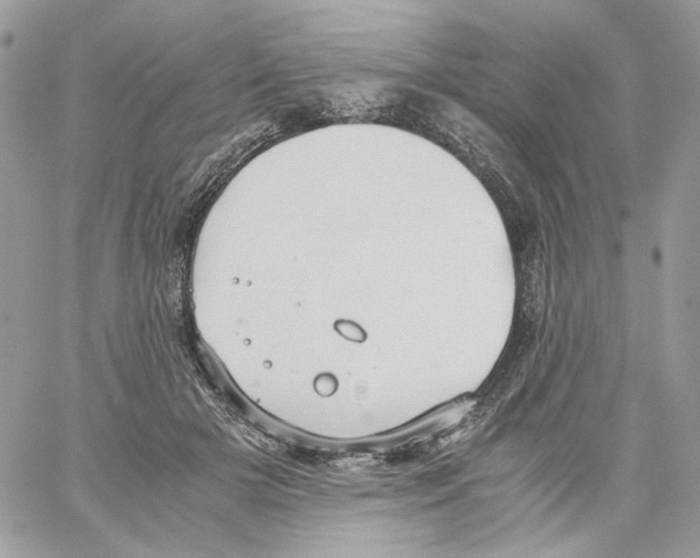 X0000061720505200512302123