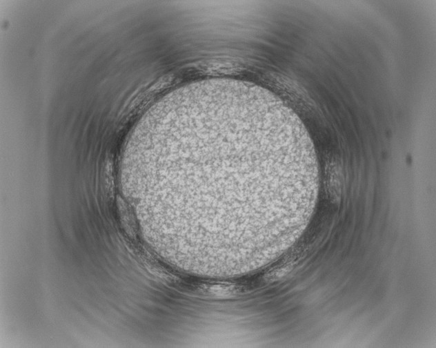 X0000061720506200512302123