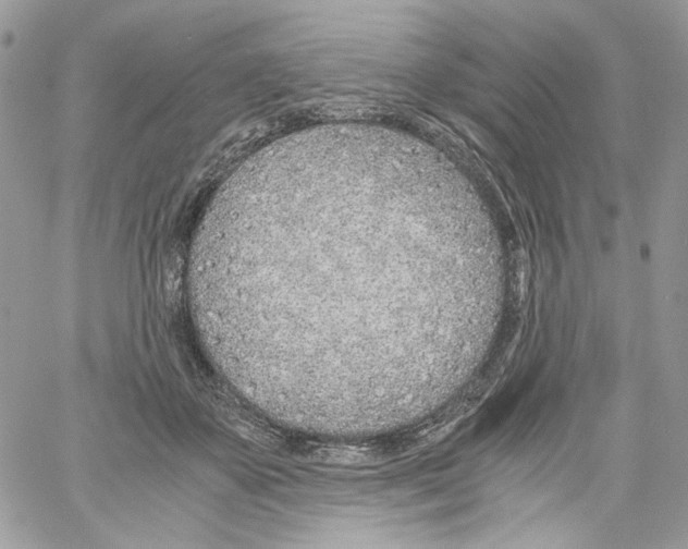 X0000061720507200512302123