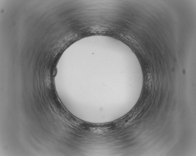 X0000061720508200512302123