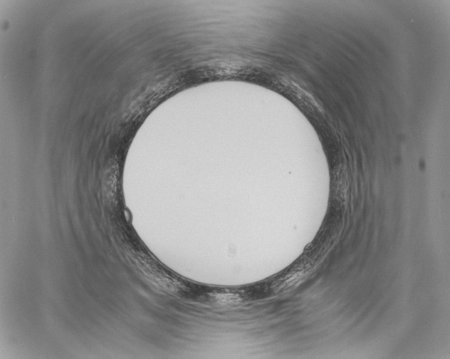 X0000061720509200512302123