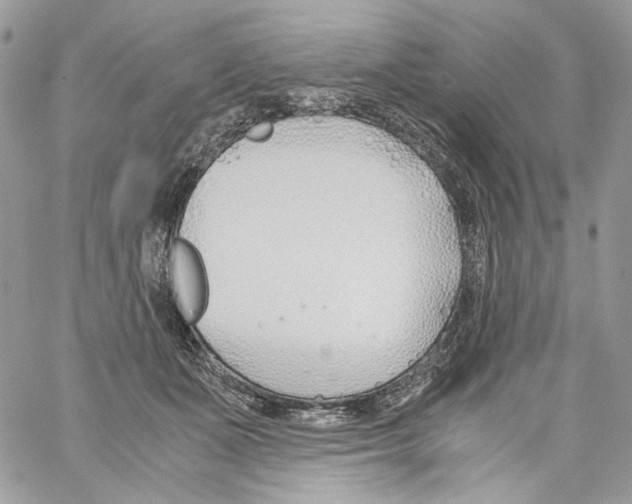 X0000061720511200512302123