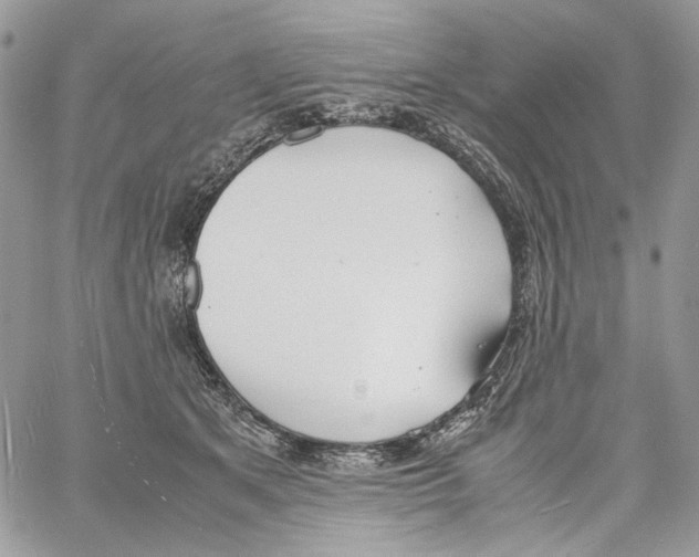 X0000061720513200512302123