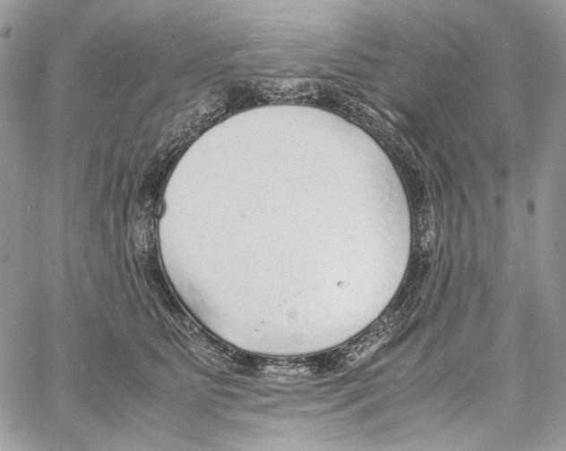 X0000061720515200512302123