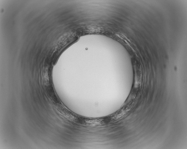 X0000061720516200512302123