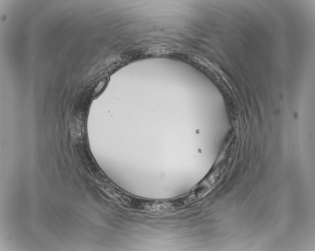 X0000061720517200512302123