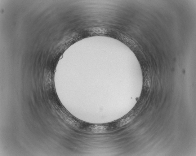 X0000061720518200512302123