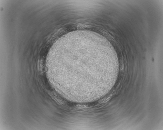 X0000061720519200512302123