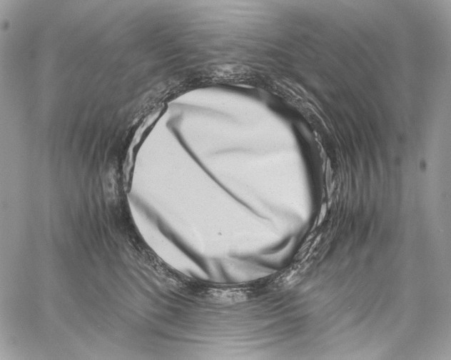 X0000061720520200512302123