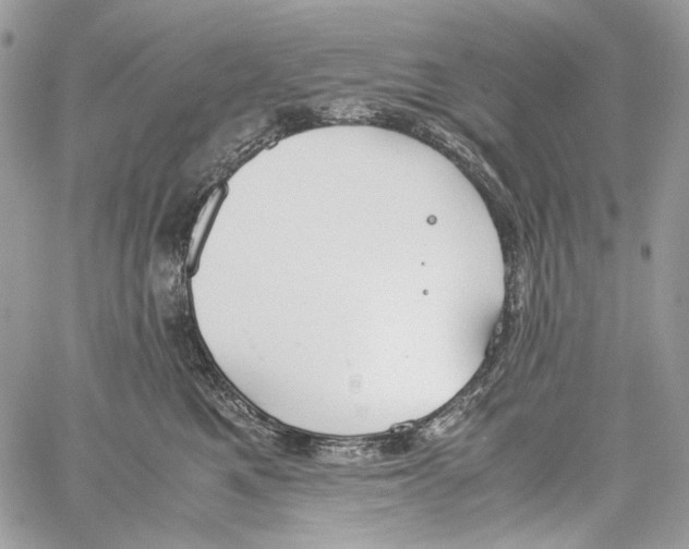 X0000061720521200512302123