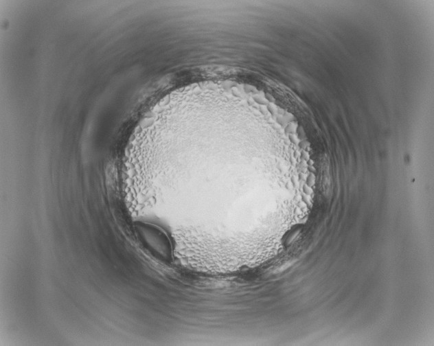 X0000061720523200512302123