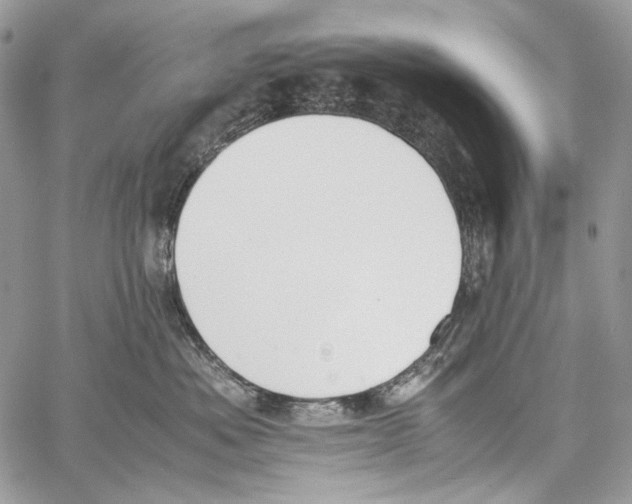 X0000061720525200512302123