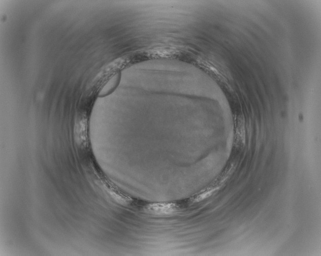 X0000061720526200512302123