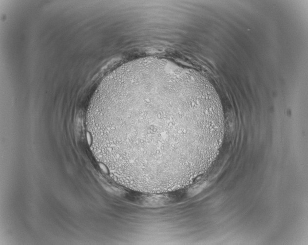 X0000061720527200512302123