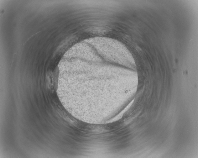 X0000061720528200512302123