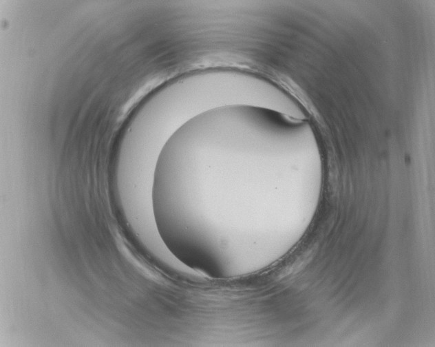 X0000061720530200512302122