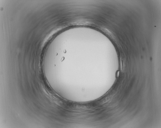 X0000061720531200512302122