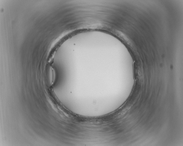 X0000061720532200512302122