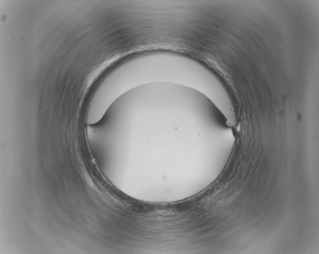 X0000061720536200512302122