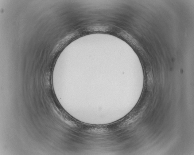 X0000061720537200512302122