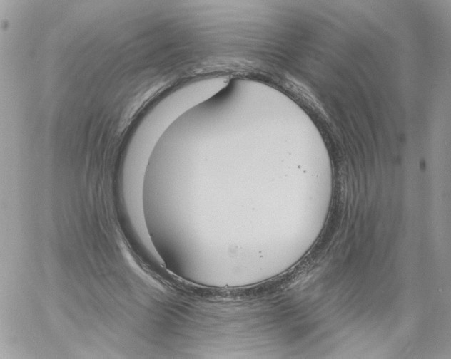 X0000061720538200512302122