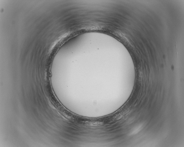 X0000061720539200512302122