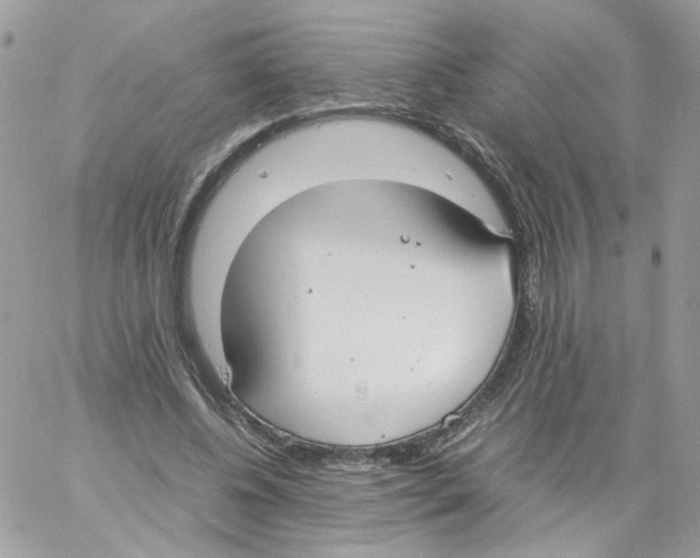 X0000061720540200512302122