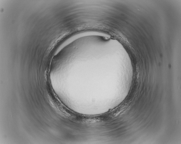 X0000061720542200512302122