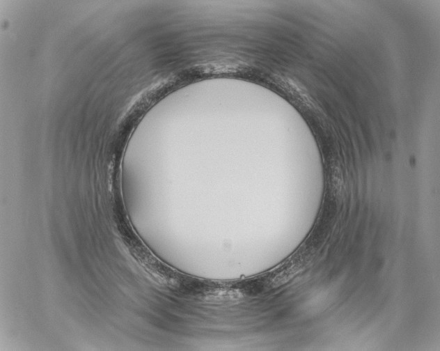 X0000061720543200512302122