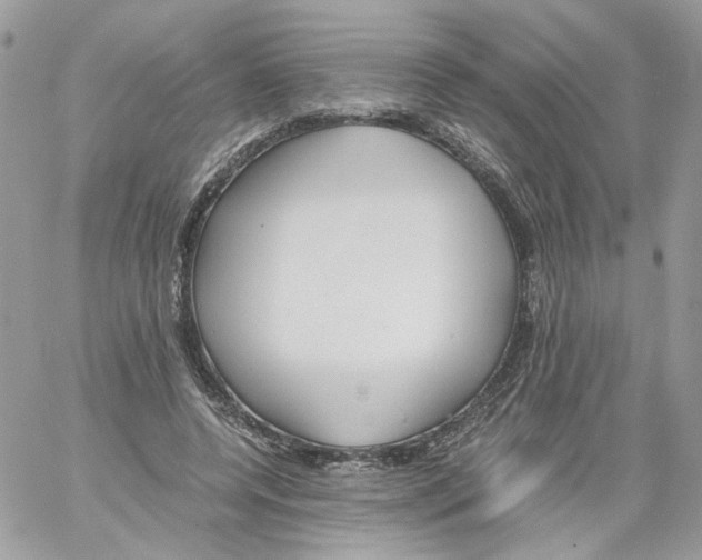 X0000061720544200512302122