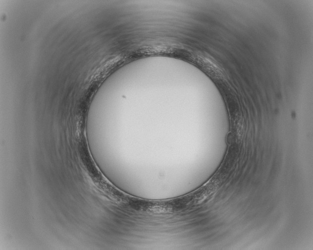 X0000061720546200512302122