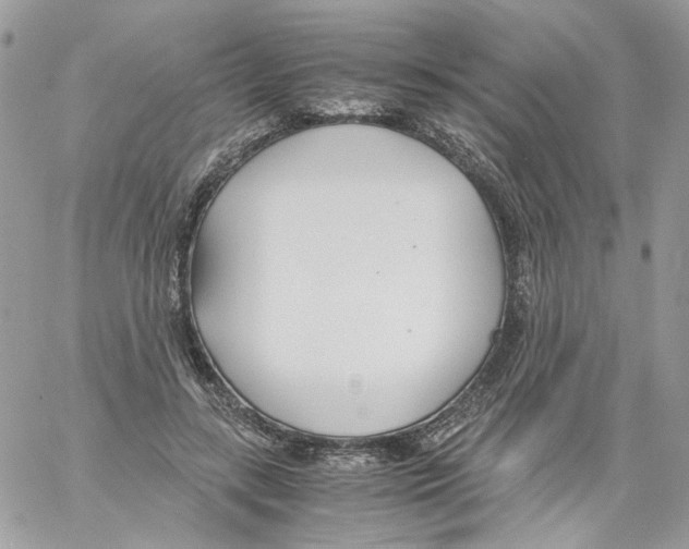 X0000061720547200512302122