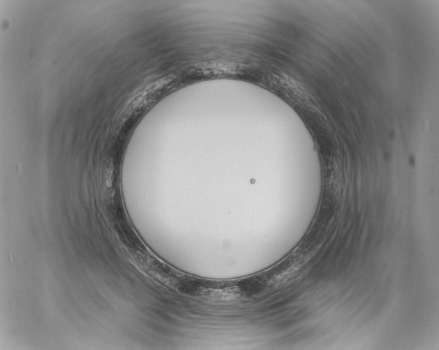 X0000061720548200512302122