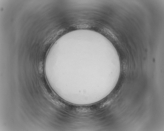 X0000061720549200512302122